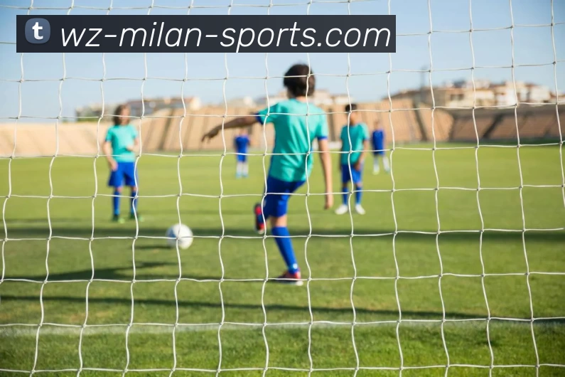 米兰官网平台生态图