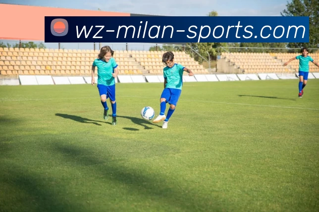 米兰官网APP 封面图